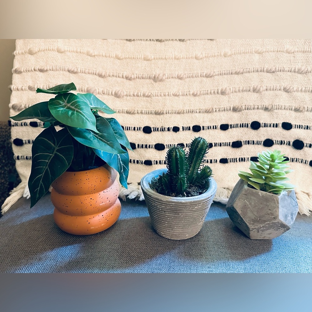 Set of Three Decorative Succulents